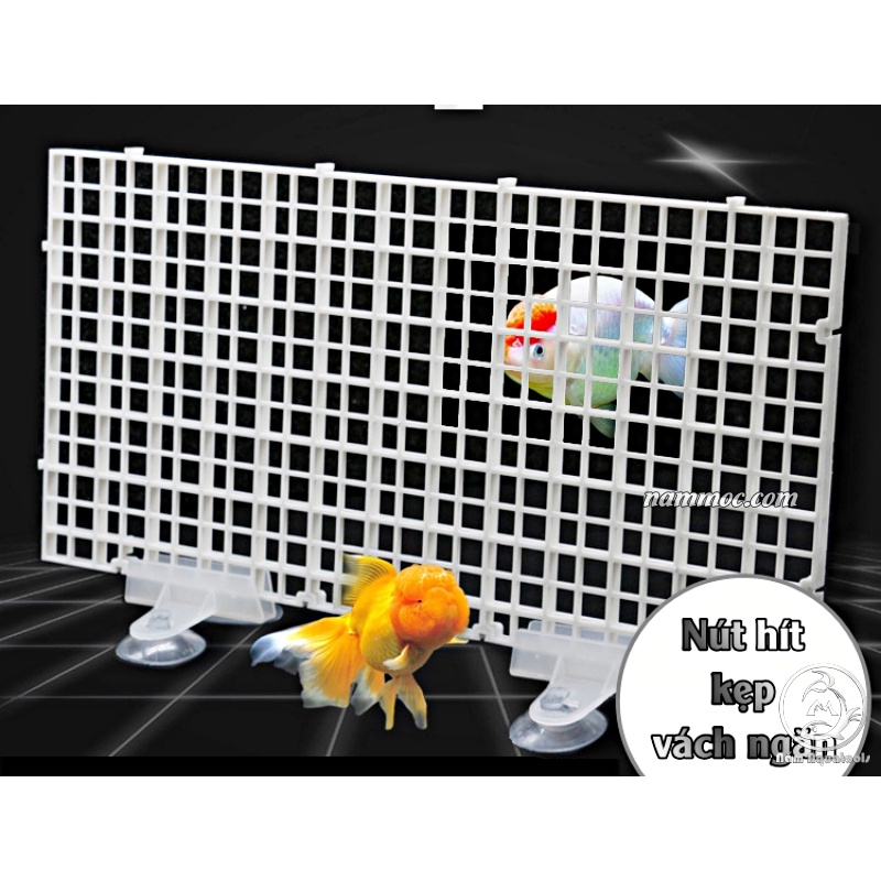 Hít Giữ Kính - Kẹp Vách Ngăn Bể Cá | Chân Hít ngăn bể | Miếng Giữ Tấm Caro Ngăn Hồ Cá Cảnh