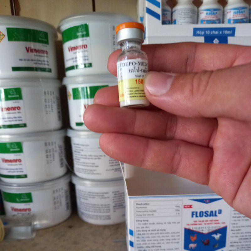 [Mã PET50K giảm Giảm 10% - Tối đa 50K đơn từ 250K] Depo - 3ml triệt sản chó mèo,heo, thú có vú..