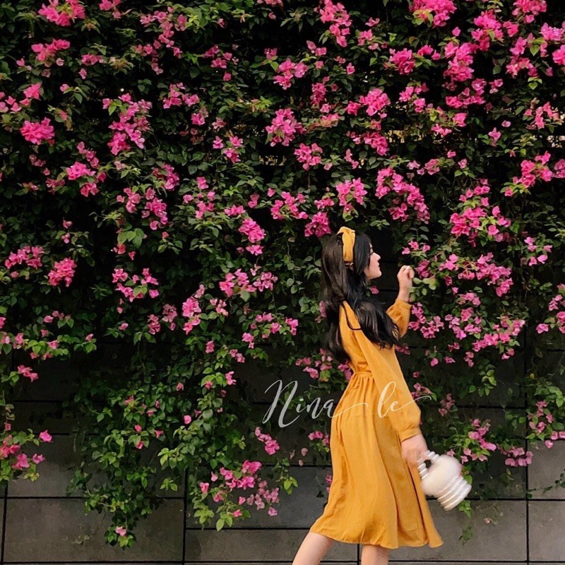 Đầm maxi vàng dài tay cột nơ lưng tặng kèm tuban du lịch đi biển | BigBuy360 - bigbuy360.vn