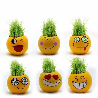Chậu cây để bàn mini mặt cười