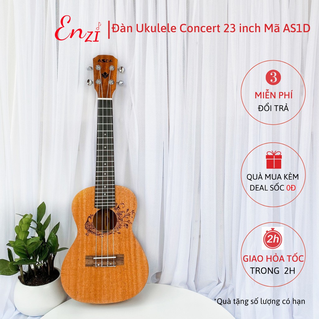 Đàn ukulele concert mã HolaD Enzi họa tiết nhí viền đen thiết kế khóa đúc cao cấp cho bạn mới bắt đầu tập chơi