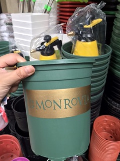 Chậu Monrovia