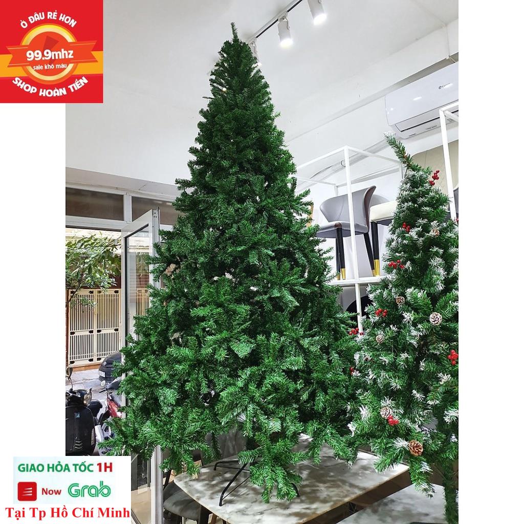Cây Thông Noel 3m - Cây Thông Trang Trí Noel Giáng Sinh Cao 3M Chân Sắt Quà Tặng Noel 1 Ngôi Sao Đỉnh Và 8 Dây Kim Tuyến