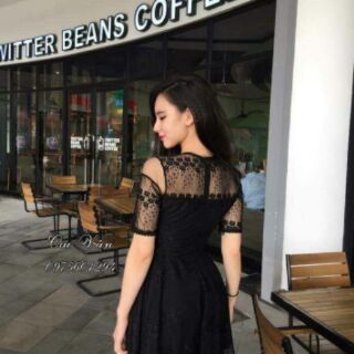 Combo đầm Heo Luoi