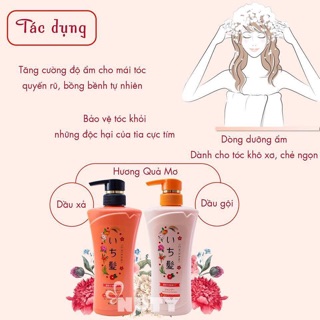 Cặp Gội - Xả IChikami Nhật