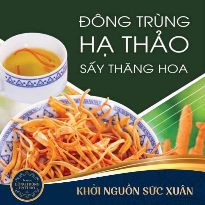 Đông trùng hạ thảo anshan - ảnh sản phẩm 2