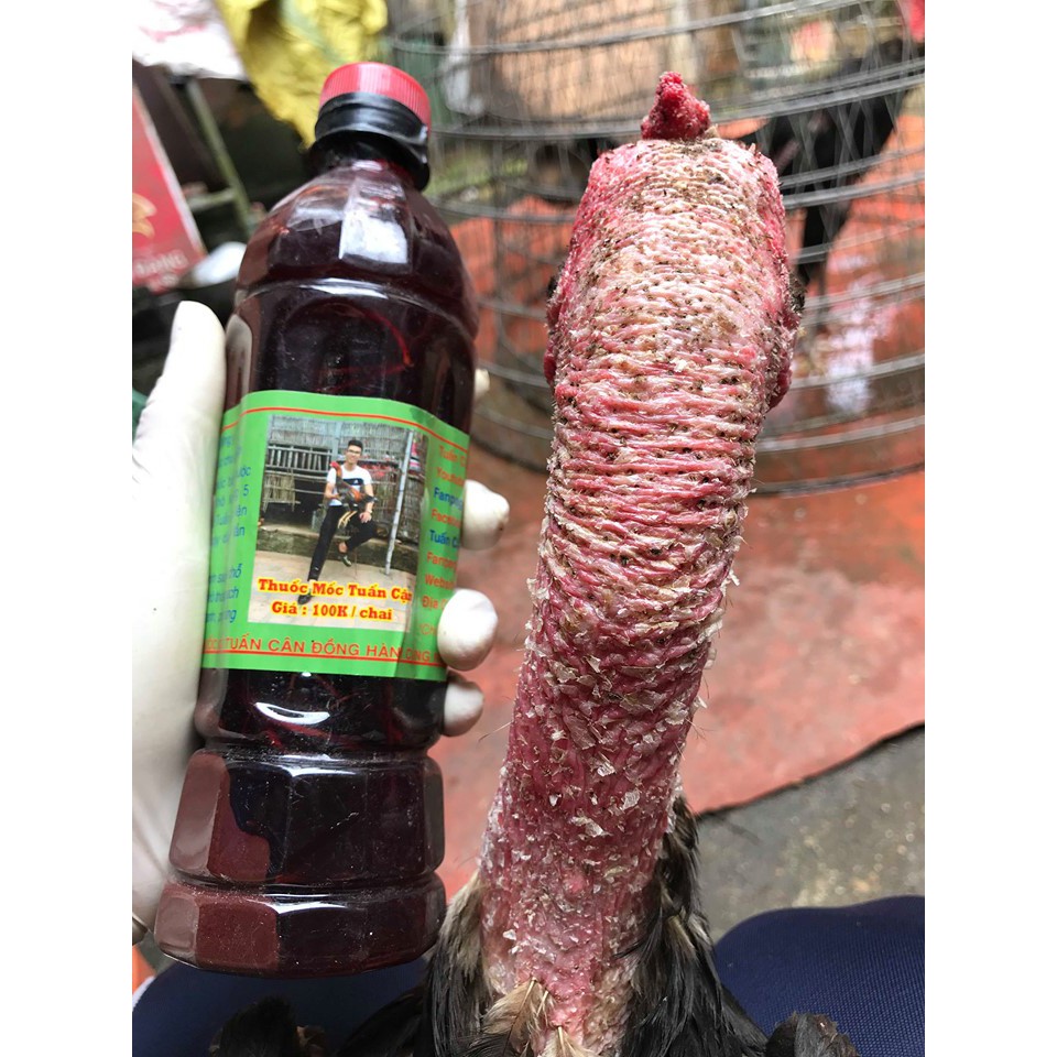 Bôi Mốc Tuấn Cận Tặng 1 Đôi Bịt Mỏ
