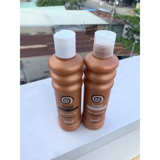 Cặp gội-xã tóc Snail