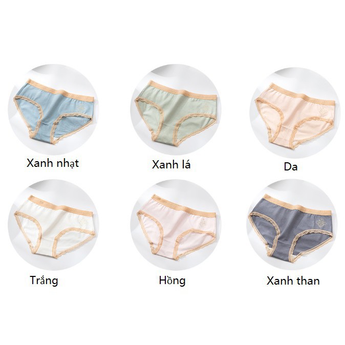 Quần Lót Cotton Royal Kháng Khuẩn Chống Viêm Nhiễm CT04 | BigBuy360 - bigbuy360.vn