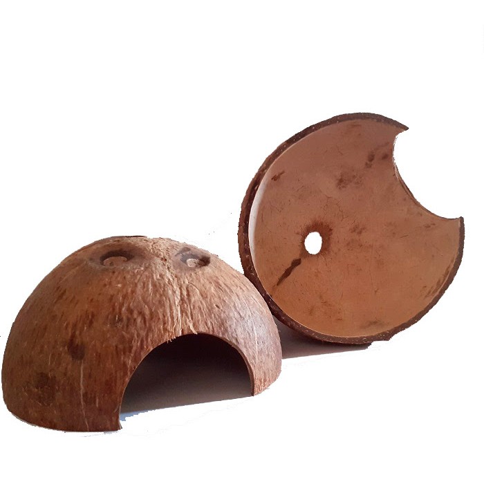 Nhà/hang cá gáo dừa | Cocodecor