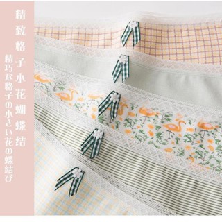 HÈ Quần chip cotton >> 💯 ་ new , ) !