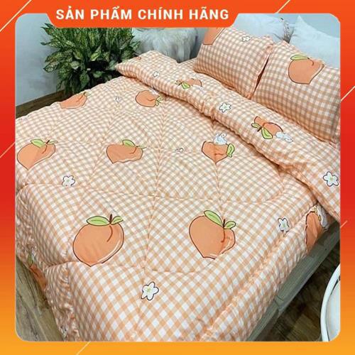 Bộ chăn phao trần bông ga gối 5 món chất liệu cotton poly đồng bộ màu sắc nhã nhặn | BigBuy360 - bigbuy360.vn