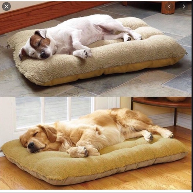 Đệm cho chó to size 80x100cm  màu ngẫu nhiên tặng gối nằm