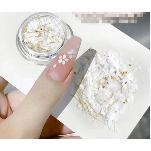Hũ Charm Hoa Trắng Mã Mới