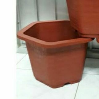 10 chậu lục giác giá sỉ 30cm cao 20cm