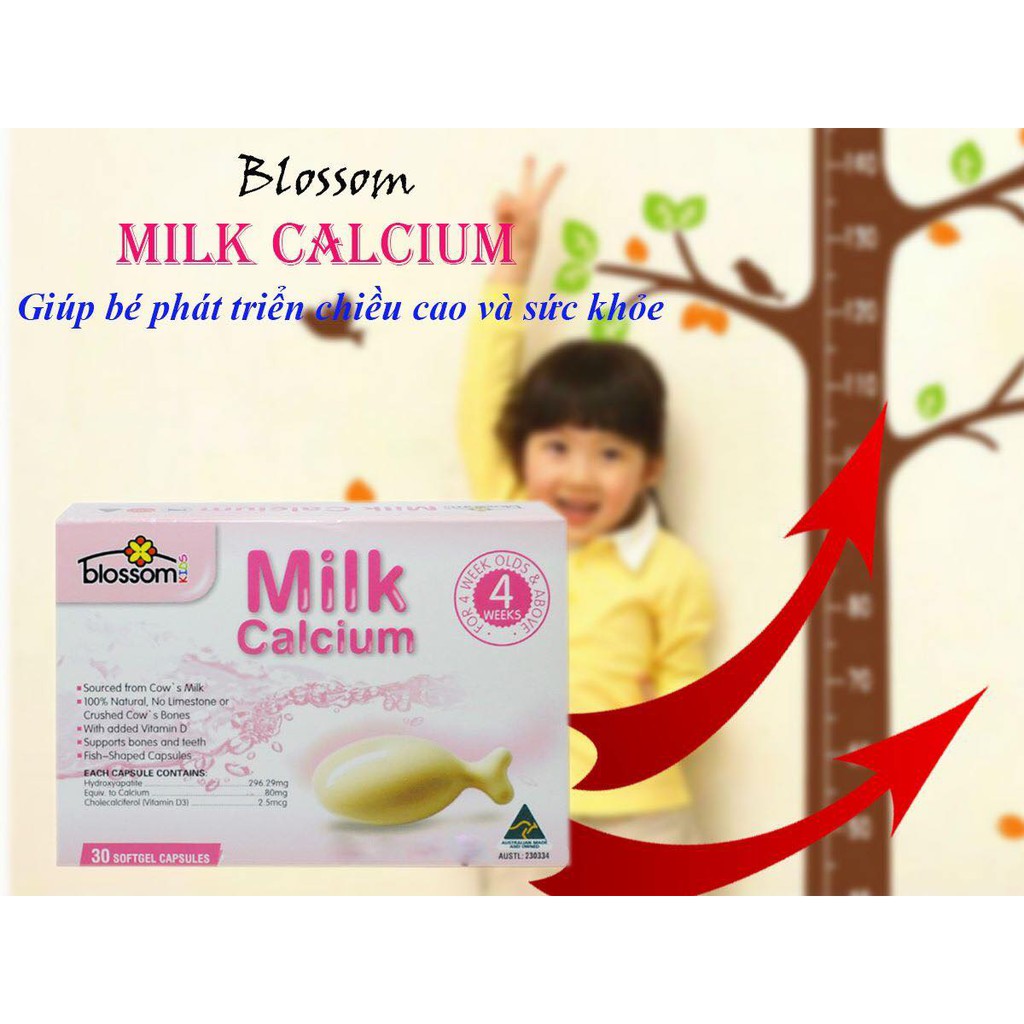 Canxi milk blossom Úc