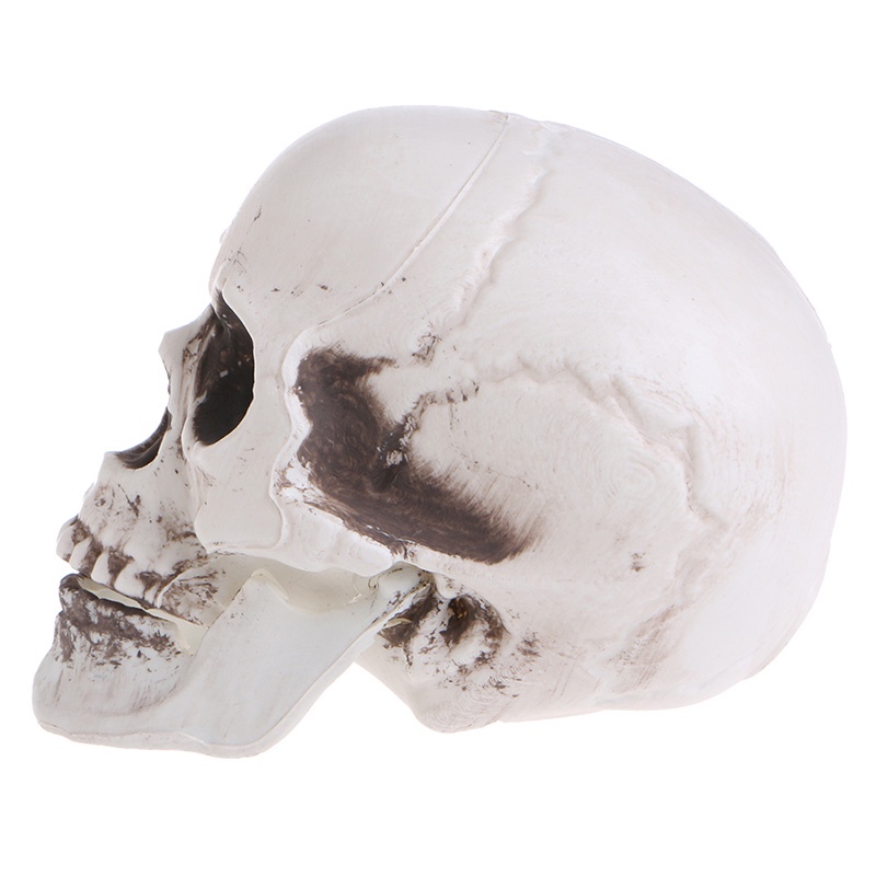 Bộ Xương Người Bằng Nhựa Mini Trang Trí Halloween