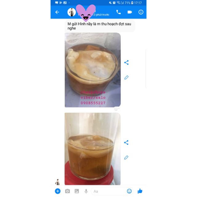 COMBO SCOBY KOMBUCHA+10 BAO LÌ XÌ 2021