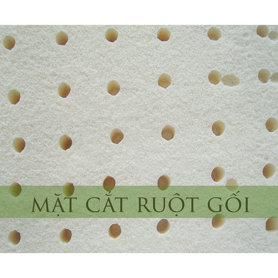 Gối nằm 100% Cao Su Thiên Nhiên Honey Massage Vạn Thành 35x60x12cm