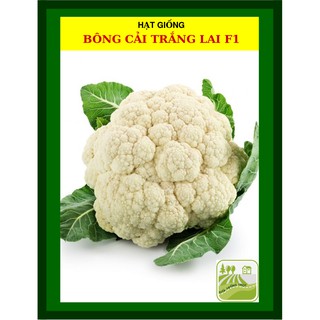 Hạt Giống Súp Lơ, Bông Cải Lai F1 0.3 Gram