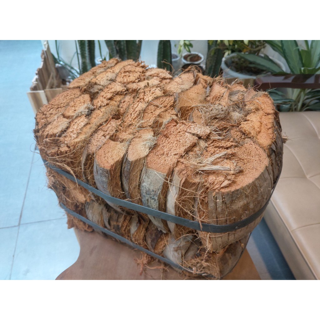 Vỏ dừa khô ép bánh dùng trồng cây chống úng (set 2 bánh)