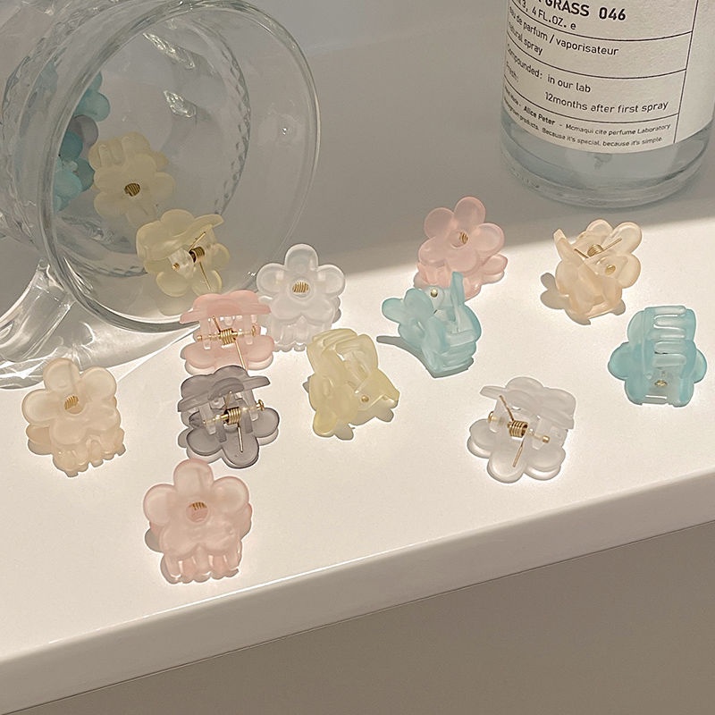 Kẹp Tóc Một Bên Họa Tiết Hoa Nhỏ Xinh Thời Trang Mùa Hè Hàn Quốc Cho Nữ