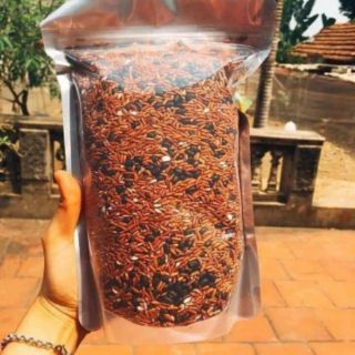 TRÀ GẠO LỨT ĐỖ ĐEN XANH LÒNG