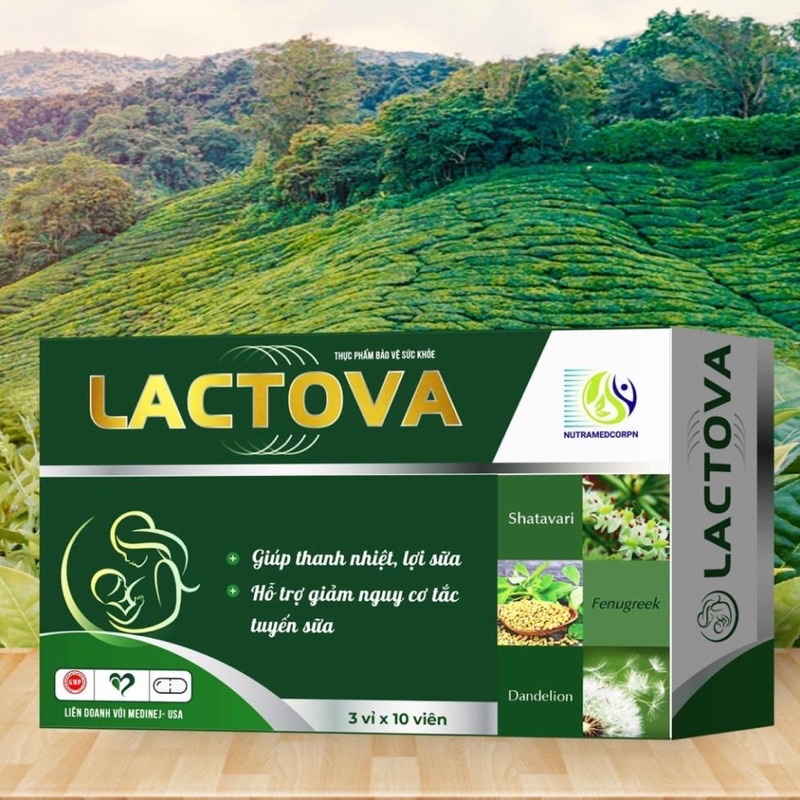 Viên uống lợi sữa LACTOVA - Tăng tiết sữa, thông tuyến sữa phụ nữ sau sinh