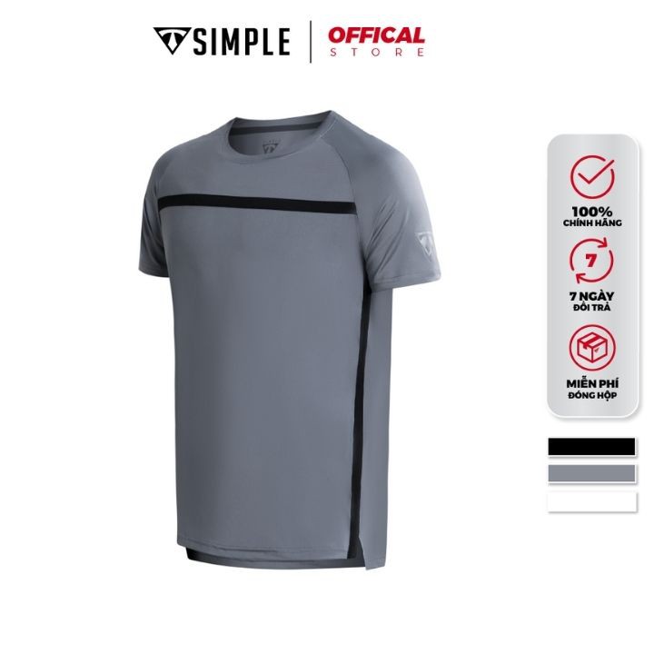 Áo Thể Thao Nam TSIMPLE cổ tròn tay ngắn tập gym vải thun lạnh thoáng mát co giãn chuẩn form AHR | BigBuy360 - bigbuy360.vn