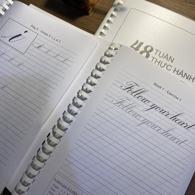 Workbook 21 Ngày Luyện tập Copperplate Calligraphy Và 48 Tuần Thực Hành