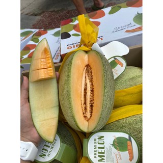 Thùng 4 trái Dưa lưới đài Loan