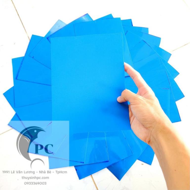 Tấm nhựa che cá betta size 15x20cm ngăn cá giúp cá sung