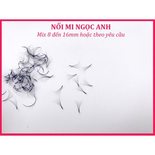 Mi fan 7D dày 0.07 (1 hộp 1050 fan)