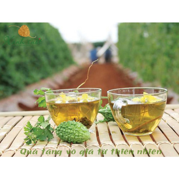 [Mudaru] Trà Mướp Đắng Rừng- 100% Từ Khổ Qua Rừng &amp; Cỏ Ngọt- Hạ Hỏa, Mát Gan, Thải Độc- Forest Bit Melon Tea [Xanh Suốt]