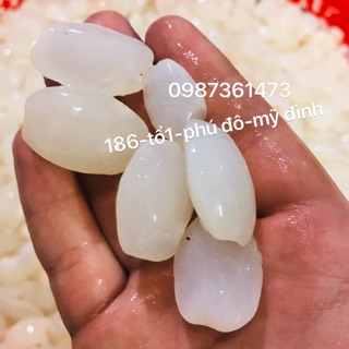 Hạt đác bự đầu vụ