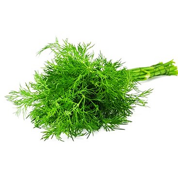 HẠT GIỐNG RAU THÌ LÀ - rau 4 mùa