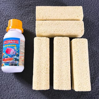 Combo 1 Hủ Men Vi Sinh Compozyme + 5 Sứ Thanh Hoa Mai Ngắn 10cm, Bộ Đôi Hoàn Hảo, Sự Cần Thiết Thực Tế