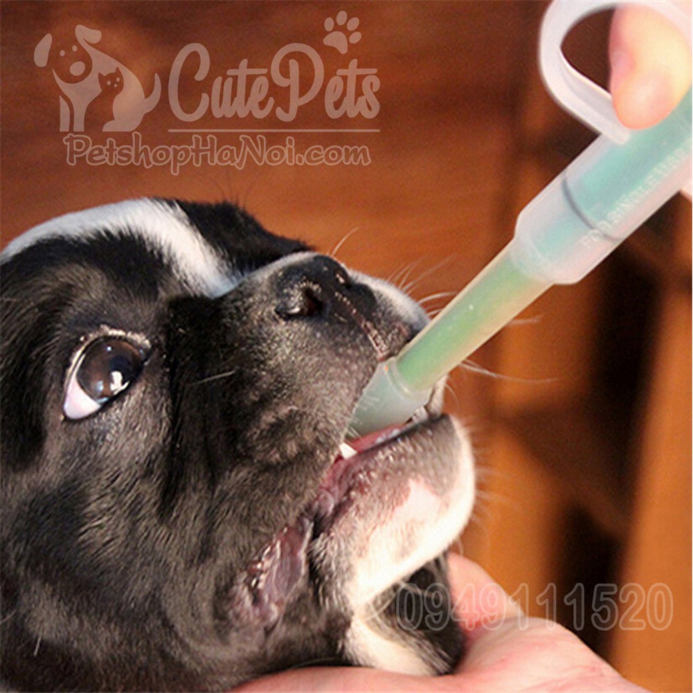 Bộ dụng cụ cho chó mèo uống thuốc Feeding Kit - CutePets Phụ kiện chó mèo Pet shop Hà Nội