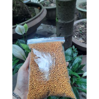 100g phân tan chậm vàng 14-14-14