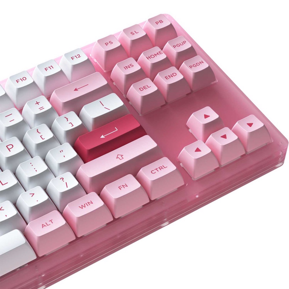 [ XẢ HÀNG ] Bàn phím cơ AKKO ACR87 Pink/White/Blue/Black (Hotswap / RGB / AKKO CS sw Jelly Pink)