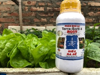 Kích rễ Terra sorb 4 500ml