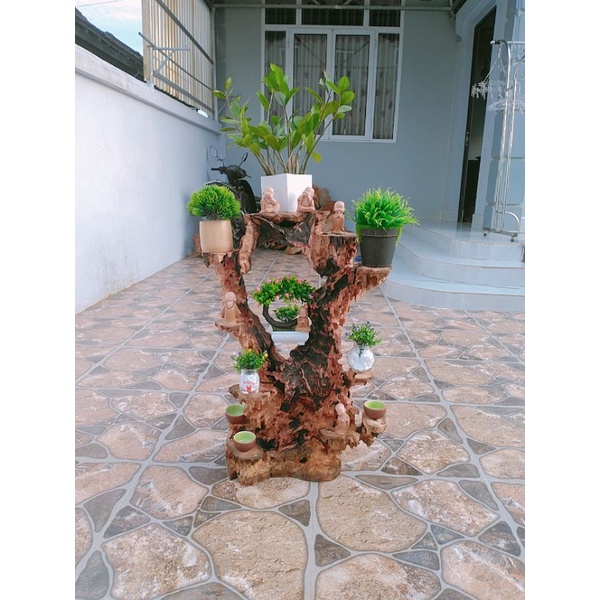 Kệ bonsai lũa xá xị