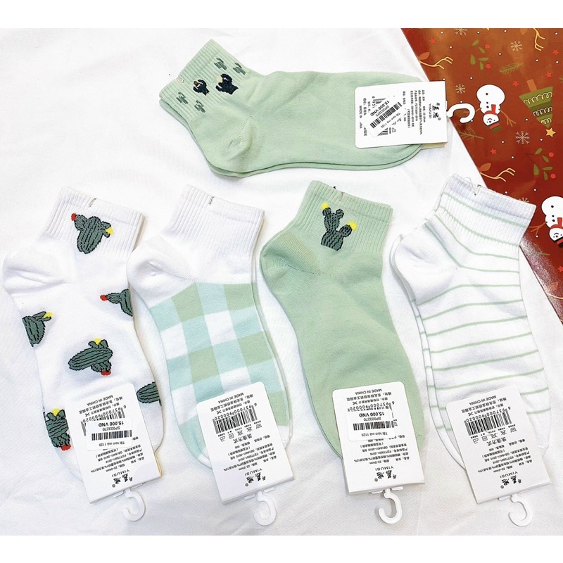 set 5 đôi tất cây xương rồng