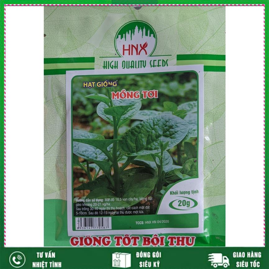 Hạt giống Mồng Tơi 20g. Rất dễ chăm sóc Nhất Việt