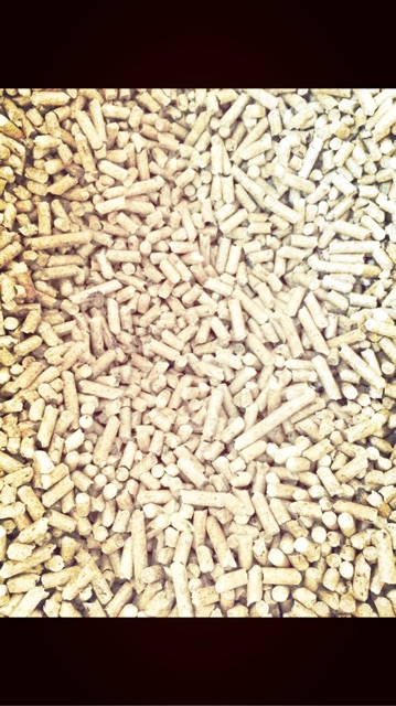 Gỗ nén vàng 6ly thông lót chuồng cho hamster,mèo,thỏ,bọ,v.v... Gói 1KG