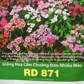 [Chính Hãng] Hạt Giống Hoa Cẩm Chướng Đơn Nhiều Màu rd 871 Rạng Đông Gói 0,1 g, Trồng Quanh Năm