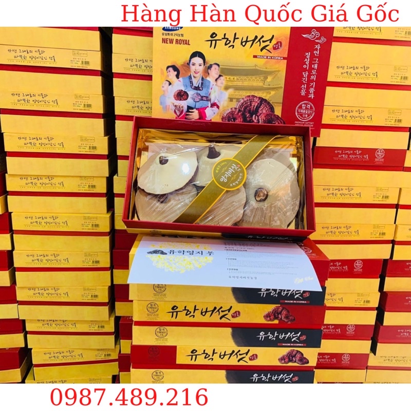 [ SALE KHỦNG ] NẤM LINH CHI VÀNG HỘP CÔ GÁI LOẠI THƯỢNG HẠNG 1KG