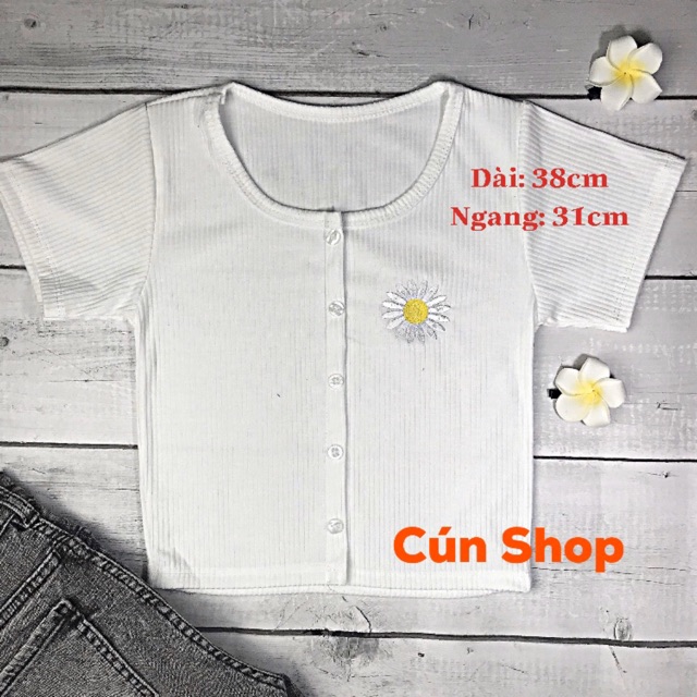 Áo croptop nhiều nút thêu hoa cúc 3 màu LIKANO CRT46