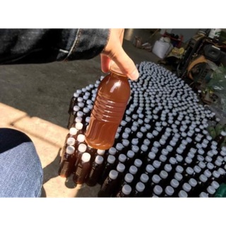 Dầu gội thảo mộc