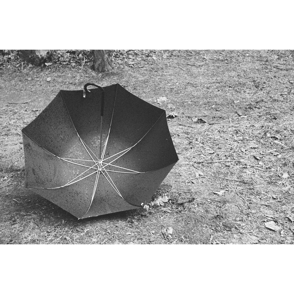 - Film 135  giá rẻ, 24 kiểu, outdate, hàng US